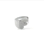 ANELLO INIZIALI DEL CUORE