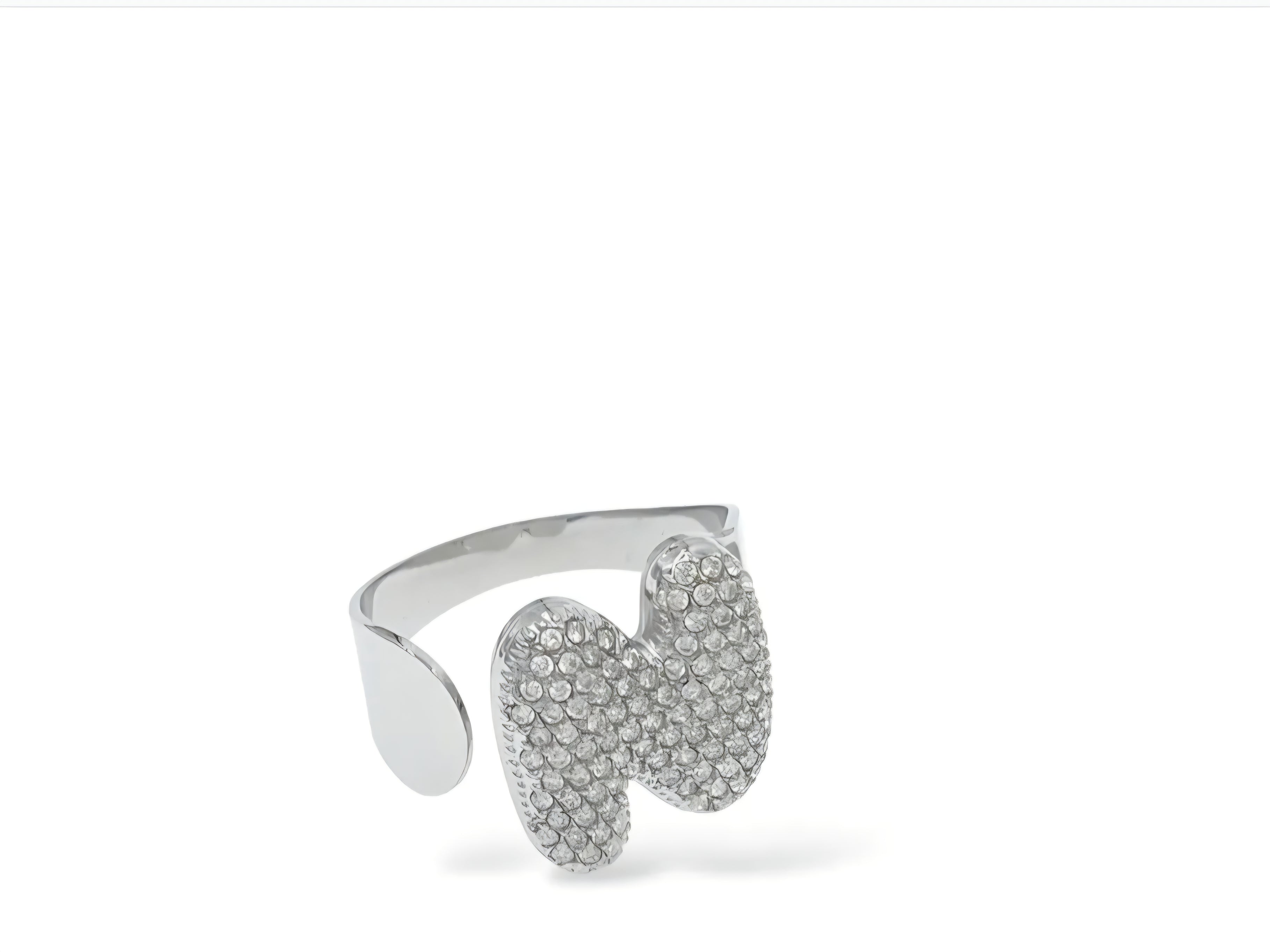 ANELLO INIZIALI DEL CUORE