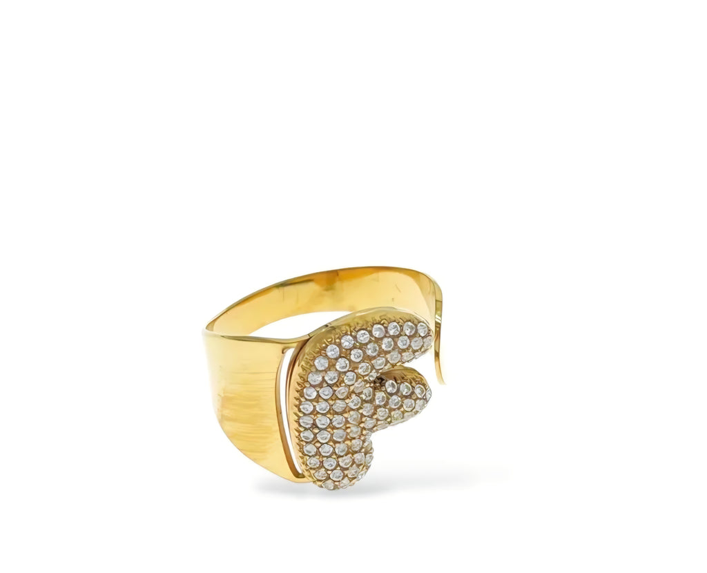 ANELLO INIZIALI DEL CUORE