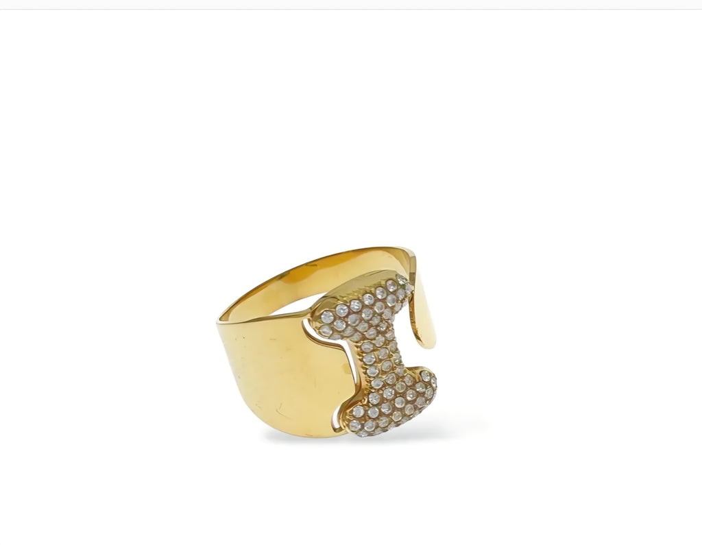 ANELLO INIZIALI DEL CUORE
