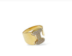 ANELLO INIZIALI DEL CUORE