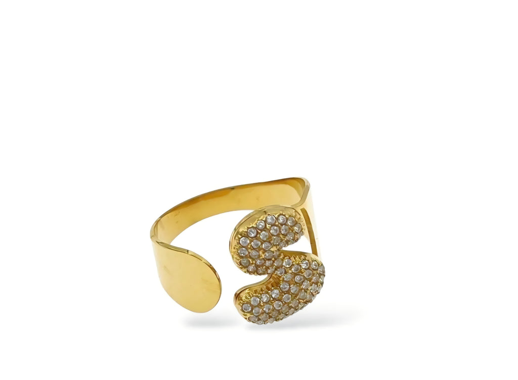 ANELLO INIZIALI DEL CUORE